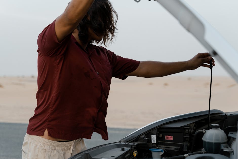 How to Check Your Car's Fluid Levels Before a Long Journey